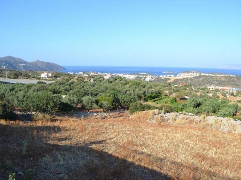 Agios Nikolaos Kreta, Agios Nikolaos: Zwei angrenzende Baugrundstücke mit Meerblick zu verkaufen Grundstück kaufen